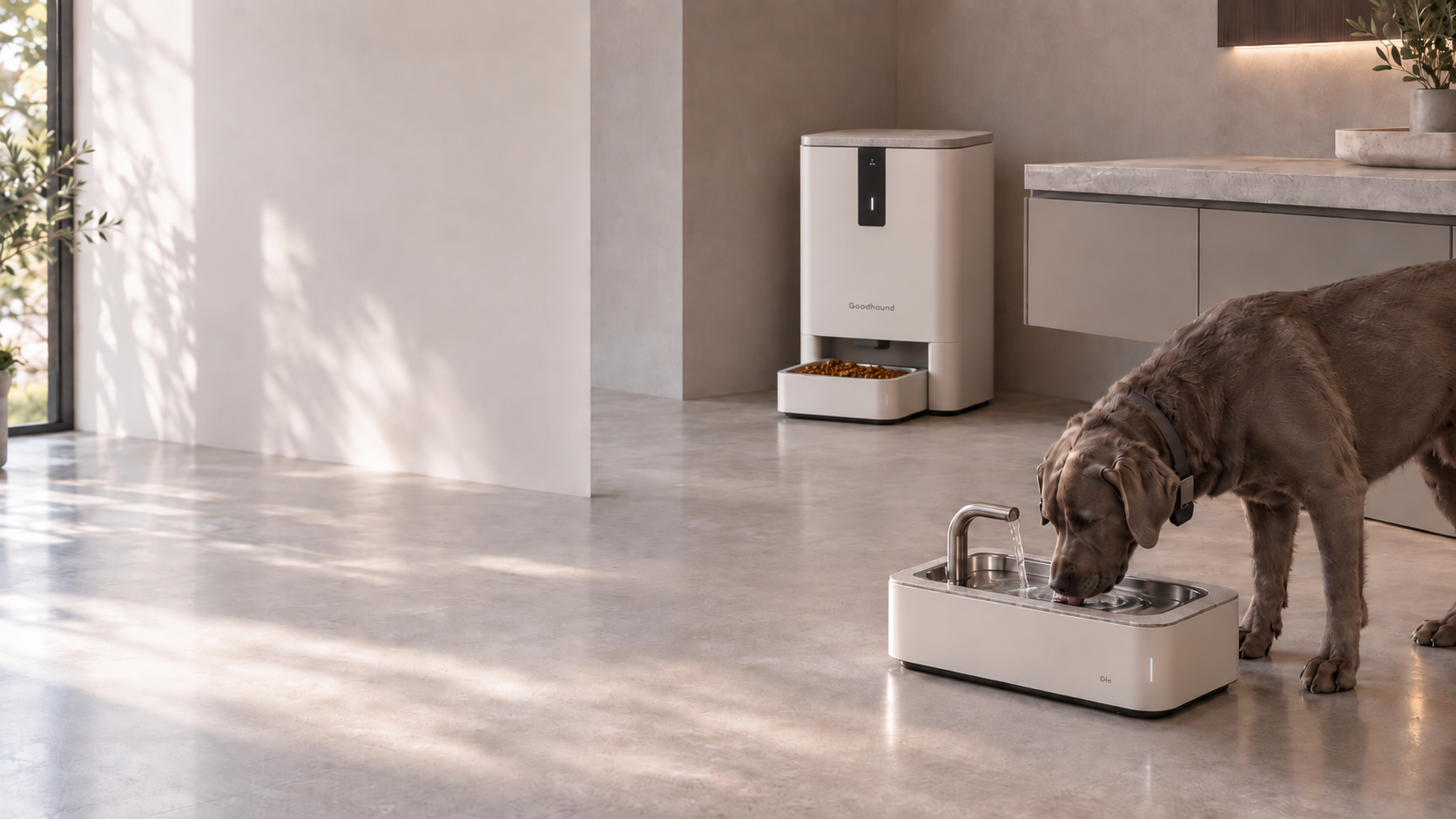 GuardHound smart dog feeding and hydration scene: a smart portioning feeder with integrated food storage, a circulating water fountain, and a dog wearing an individual-recognition collar device